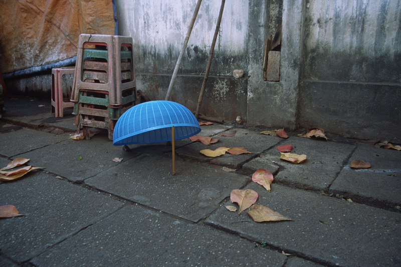 catching things (#11), 2010
c-print36 x 54 cm